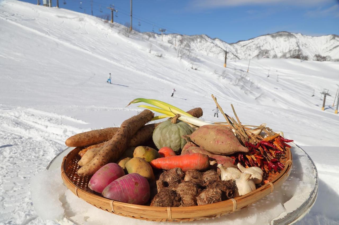 Ishiuchi Ski Center Minamiuonuma Ngoại thất bức ảnh